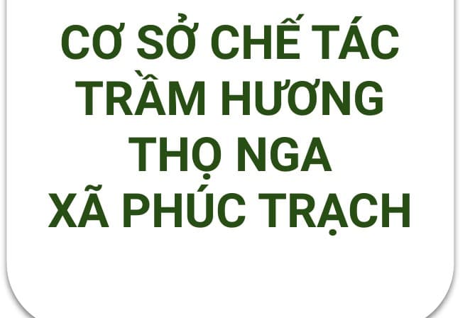 Logo Cơ Sở Chế Tác Trầm Hương Thọ Nga, Xã Phúc Trạch