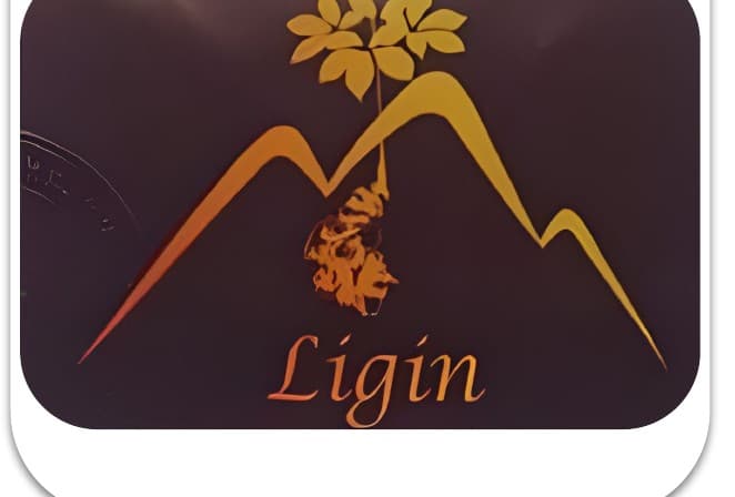 Logo Công ty Golden Health