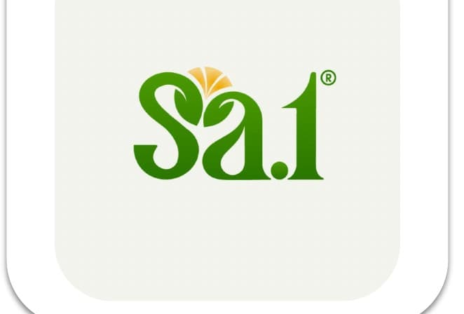 Logo Công Ty Nông Sản Sấy Số 1