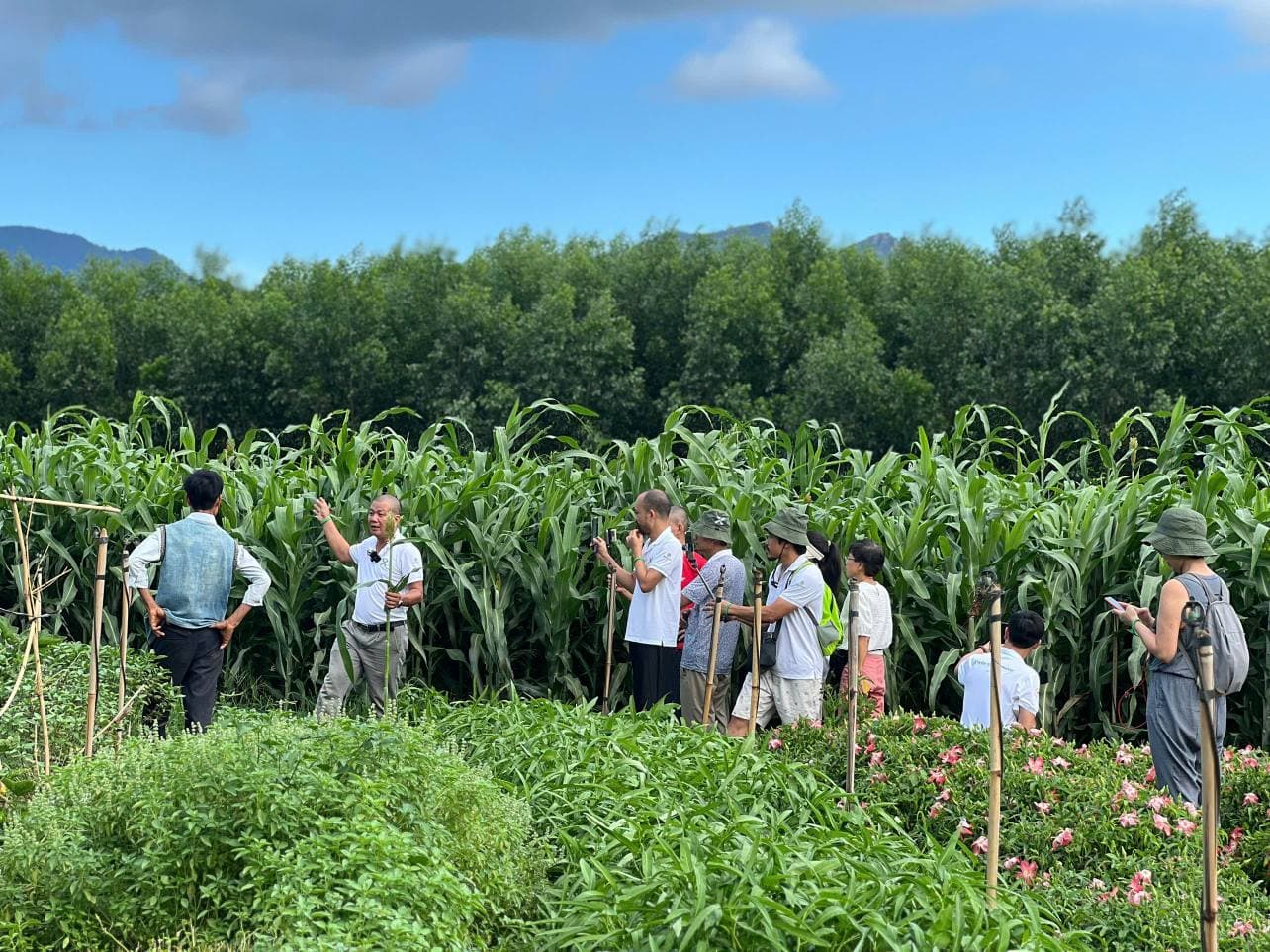 Sản Việt Farm