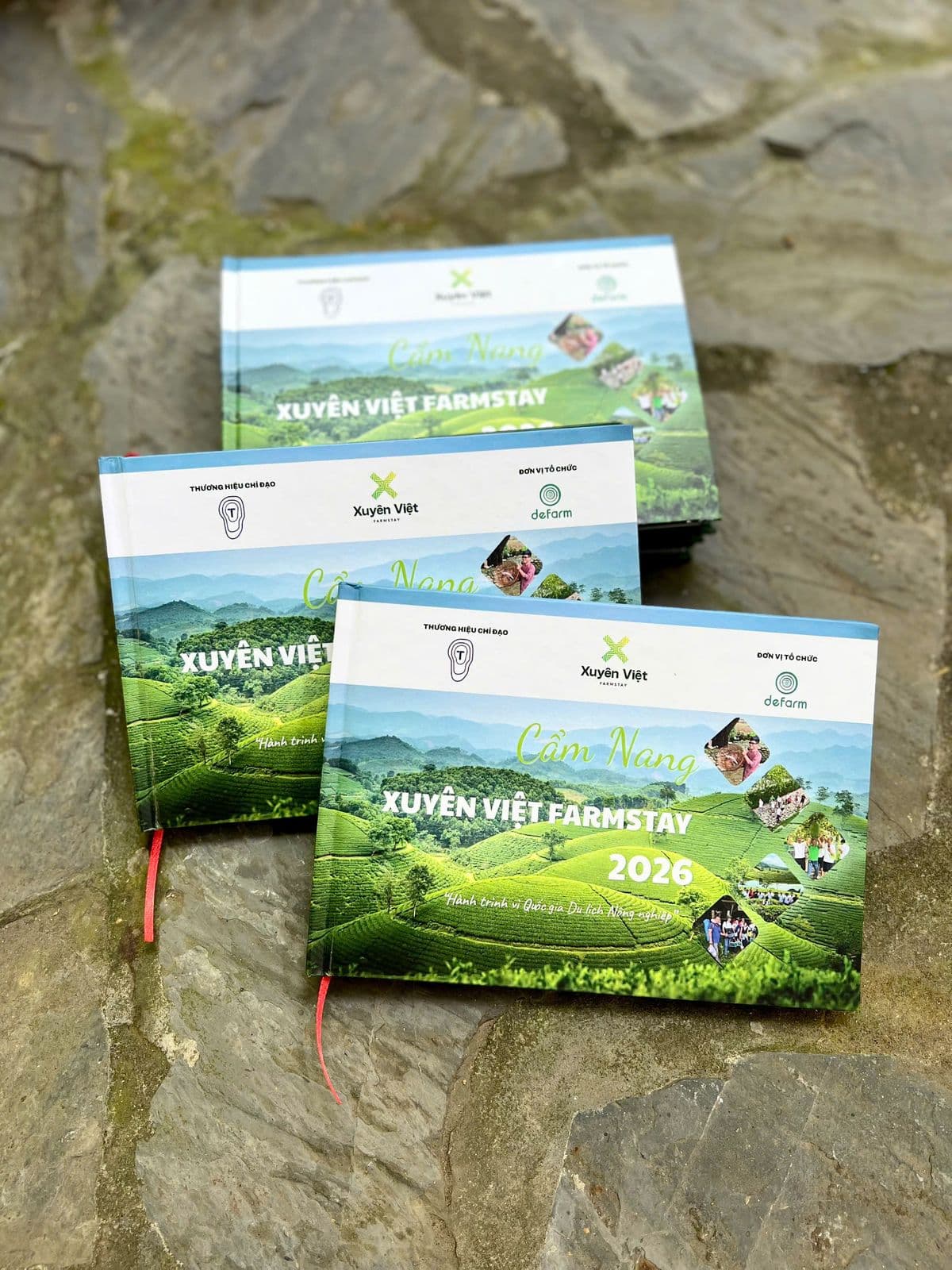 Bavi Homestead