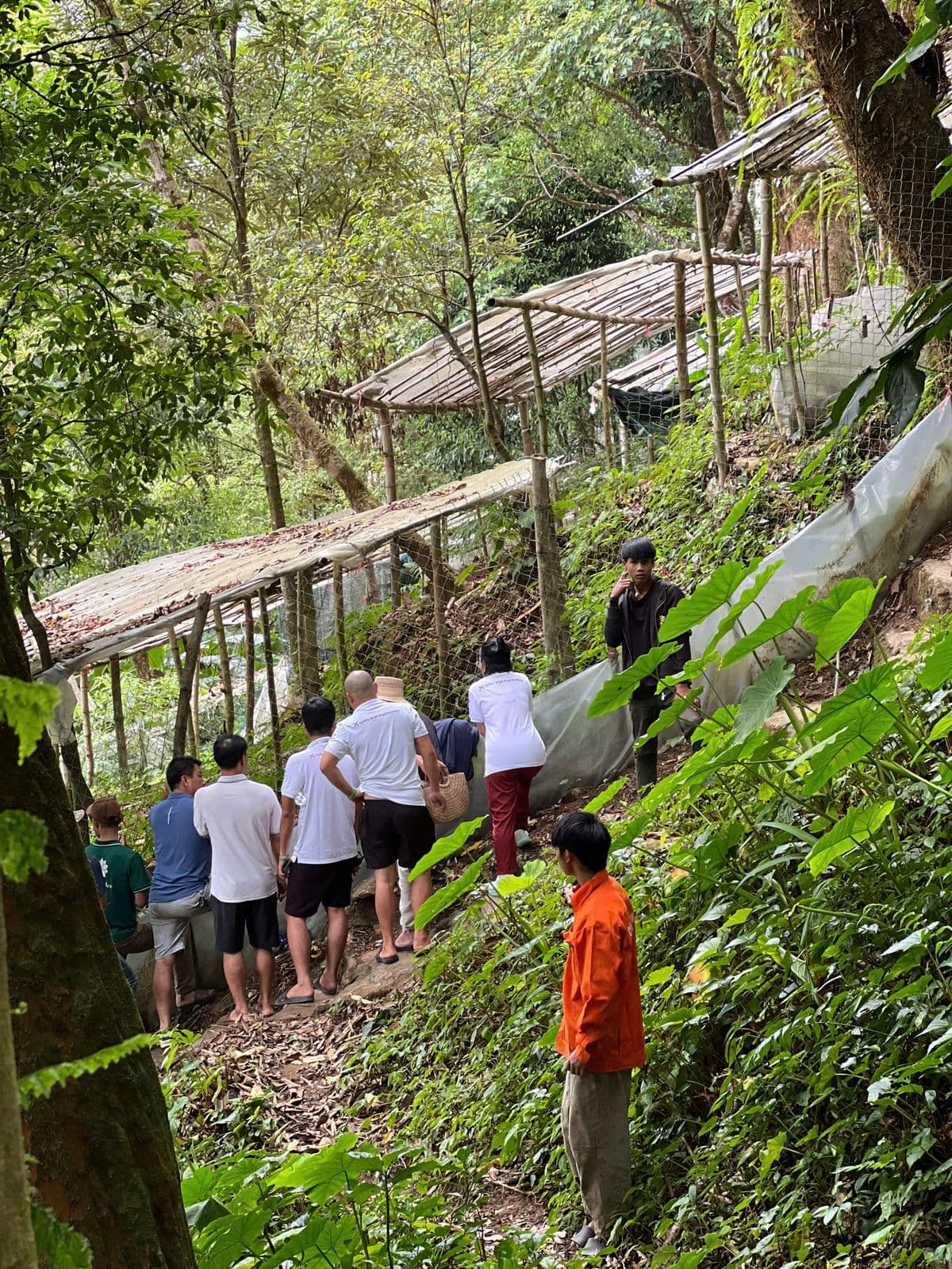 Vườn Sâm Ngọc Linh, Dak Drinh Lodge