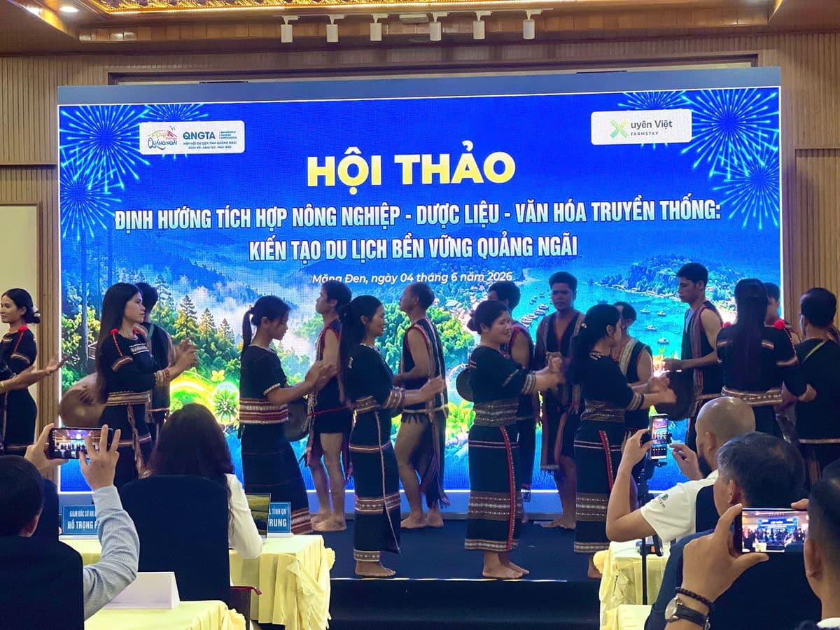 Trang Trại Mọng Nước Măng Đen, Măng Đen Treehouse Village Resort