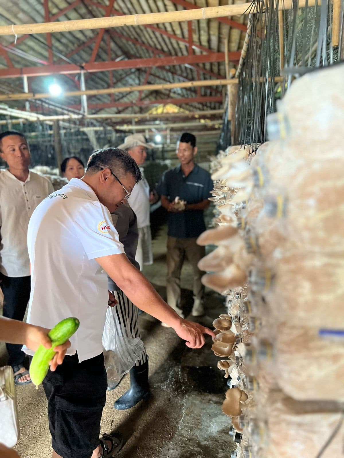 Farm Ba Tường Suối Tiên, Sản Việt Farm  ·  GALA TỔNG KẾT