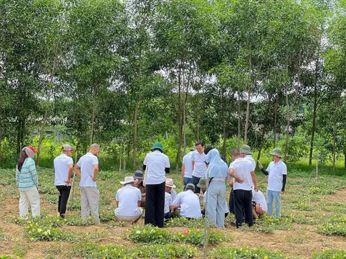Xuyên Việt Farmstay Mùa 5 — Hà Giang – Cao Bằng, 30/5 (ảnh 25)