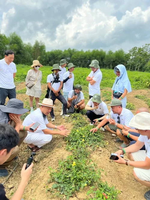Xuyên Việt Farmstay Mùa 5 — Hà Giang – Cao Bằng, 30/5 (ảnh 33)