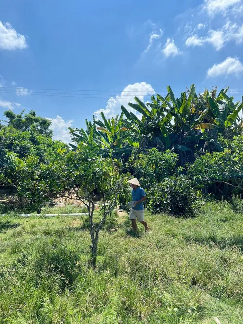 Xuyên Việt Farmstay Mùa 5 — Lạng Sơn, 31/5 (ảnh 17)