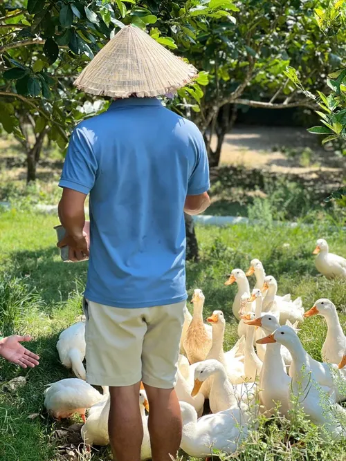 Xuyên Việt Farmstay Mùa 5 — Lạng Sơn, 31/5 (ảnh 19)