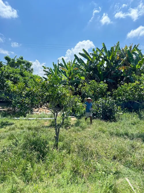 Xuyên Việt Farmstay Mùa 5 — Lạng Sơn, 31/5 (ảnh 24)