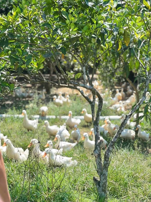 Xuyên Việt Farmstay Mùa 5 — Lạng Sơn, 31/5 (ảnh 26)