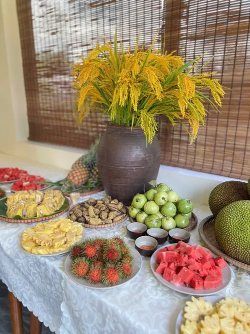Xuyên Việt Farmstay Mùa 5 — Quảng Ninh, 1/6 (ảnh 35)