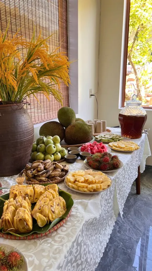 Xuyên Việt Farmstay Mùa 5 — Quảng Ninh, 1/6 (ảnh 52)