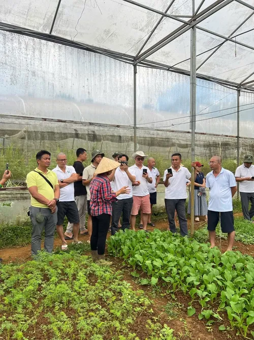 Xuyên Việt Farmstay Mùa 5 — Hà Tĩnh, 4/6 (ảnh 15)