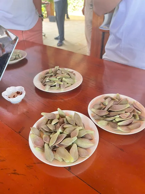 Xuyên Việt Farmstay Mùa 5 — Hà Tĩnh, 4/6 (ảnh 17)
