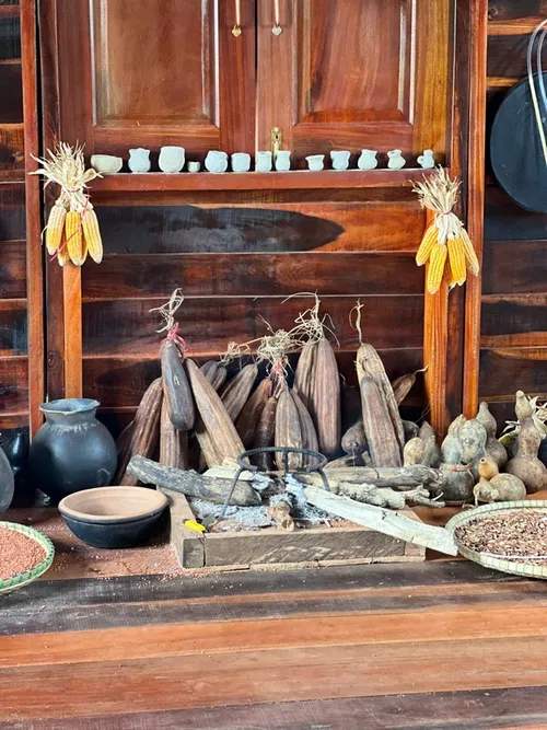 Xuyên Việt Farmstay Mùa 5 — Quảng Bình – Huế, 5/6 (ảnh 7)