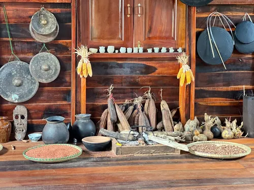 Xuyên Việt Farmstay Mùa 5 — Quảng Bình – Huế, 5/6 (ảnh 14)