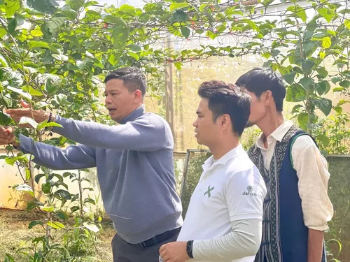 Xuyên Việt Farmstay Mùa 5 — Đà Nẵng, 6/6 (ảnh 54)