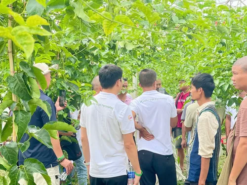 Xuyên Việt Farmstay Mùa 5 — Đà Nẵng, 6/6 (ảnh 61)