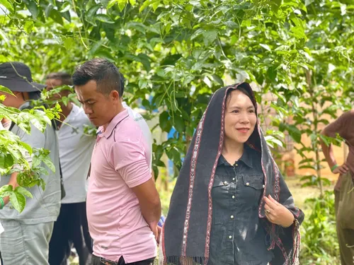 Xuyên Việt Farmstay Mùa 5 — Đà Nẵng, 6/6 (ảnh 62)