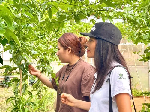 Xuyên Việt Farmstay Mùa 5 — Đà Nẵng, 6/6 (ảnh 65)