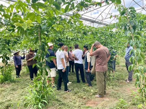 Xuyên Việt Farmstay Mùa 5 — Đà Nẵng, 6/6 (ảnh 69)