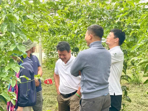 Xuyên Việt Farmstay Mùa 5 — Đà Nẵng, 6/6 (ảnh 70)