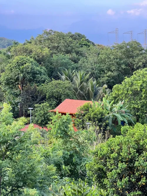 Xuyên Việt Farmstay Mùa 5 — Đà Nẵng, 6/6 (ảnh 168)