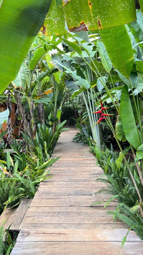 Xuyên Việt Farmstay Mùa 5 — Quảng Nam, 7/6 (ảnh 52)