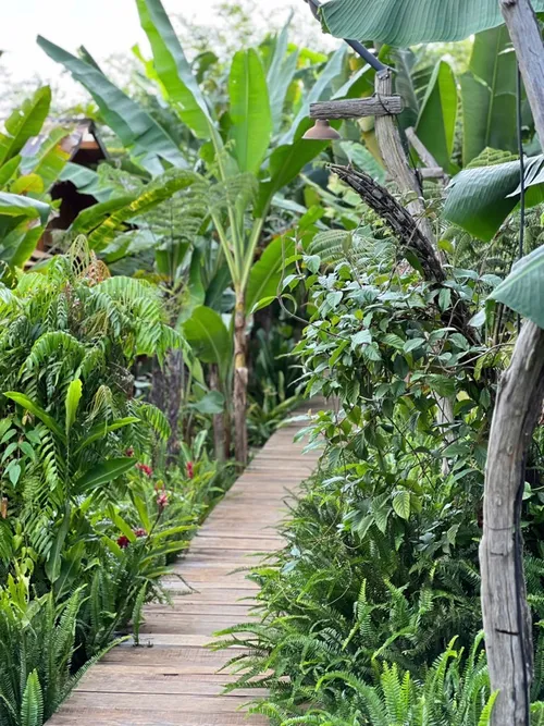 Xuyên Việt Farmstay Mùa 5 — Quảng Nam, 7/6 (ảnh 72)