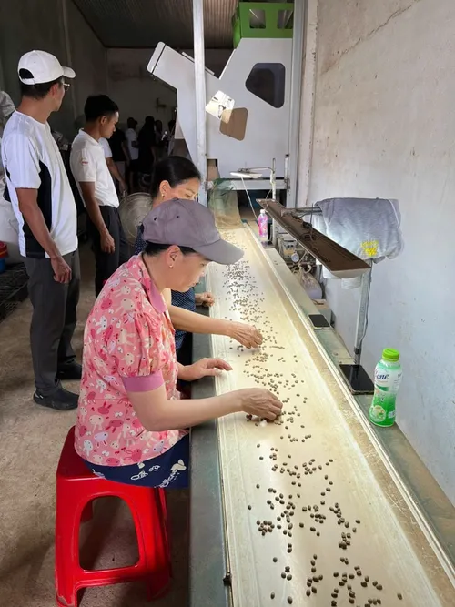 Xuyên Việt Farmstay Mùa 5 — Bình Định, 8/6 (ảnh 56)