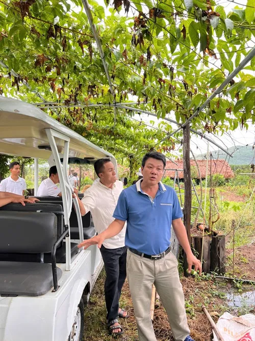 Xuyên Việt Farmstay Mùa 5 — Khánh Hòa – Kết thúc, 11/6 (ảnh 58)