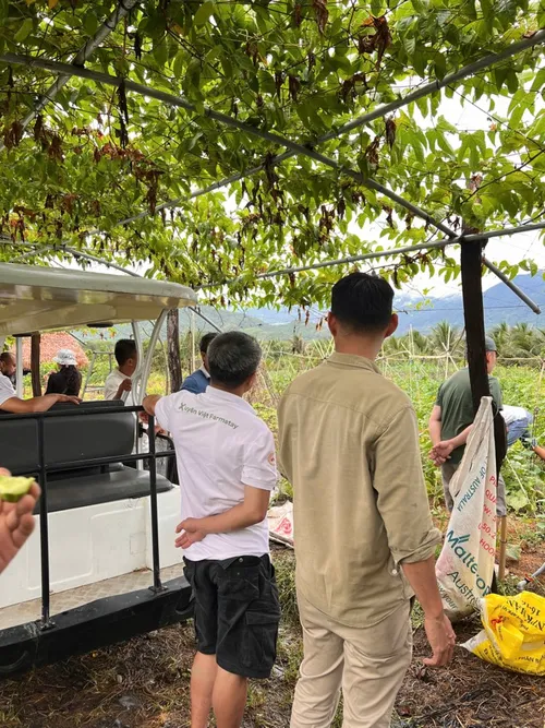 Xuyên Việt Farmstay Mùa 5 — Khánh Hòa – Kết thúc, 11/6 (ảnh 59)